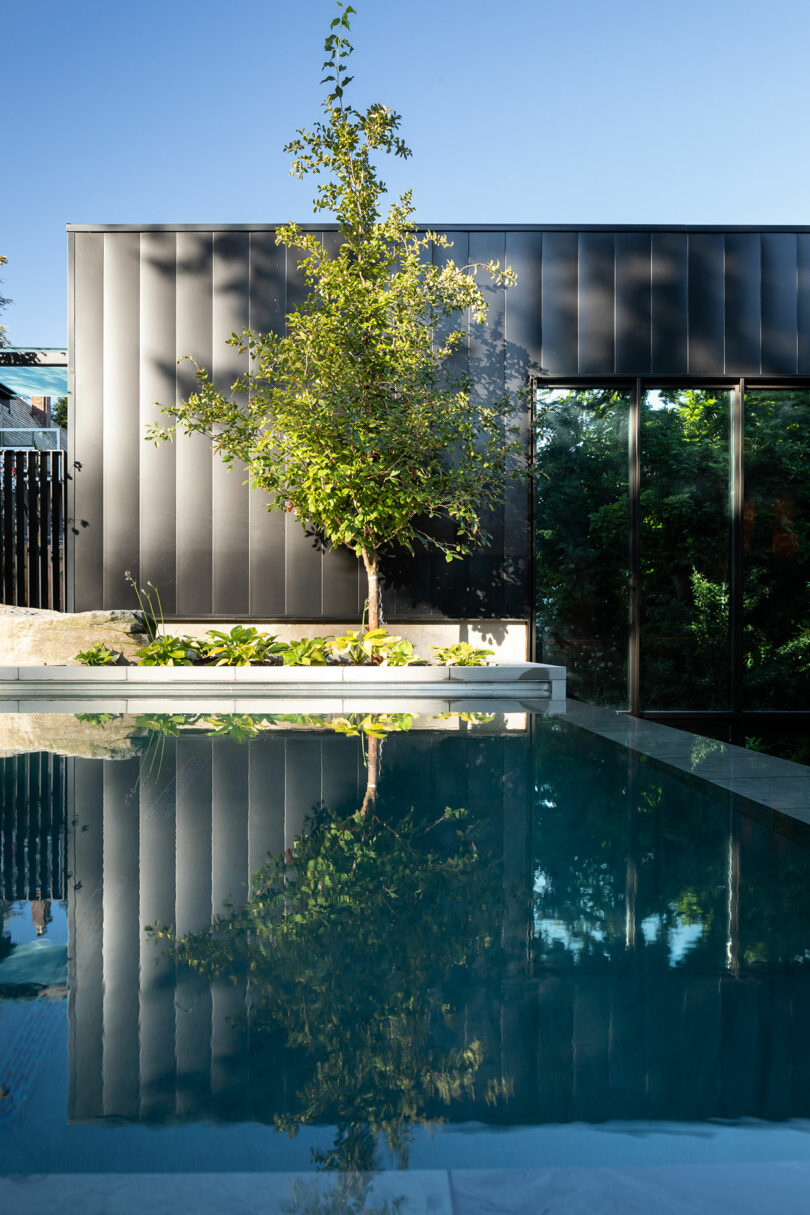 La fachada del edificio con fachada de vidrio reflectante, con un árbol solitario frente a él y reflejándose en una piscina transparente.