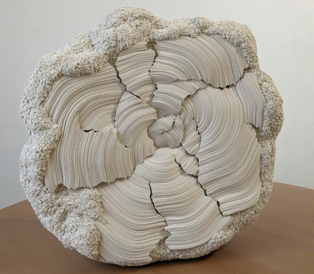Lune de Bois de Simoe Pheulpin. Cortesía del artista.