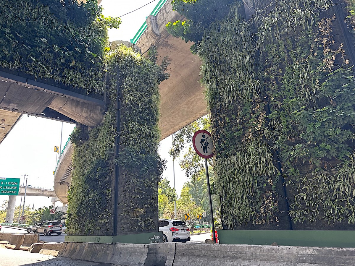 Carretera de la Ciudad de México con muchas plantas