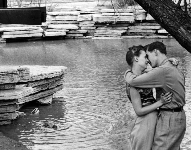 Spring Birds no puede romance Bob Dudash, de 21 años y Elaine Pts, de 20 años, en Lincoln Park Rookery, abril de 1948. La rookery es Alfred Caldwell Lily Pool. (Arnold Tolchin / Chicago Haldamentary) 