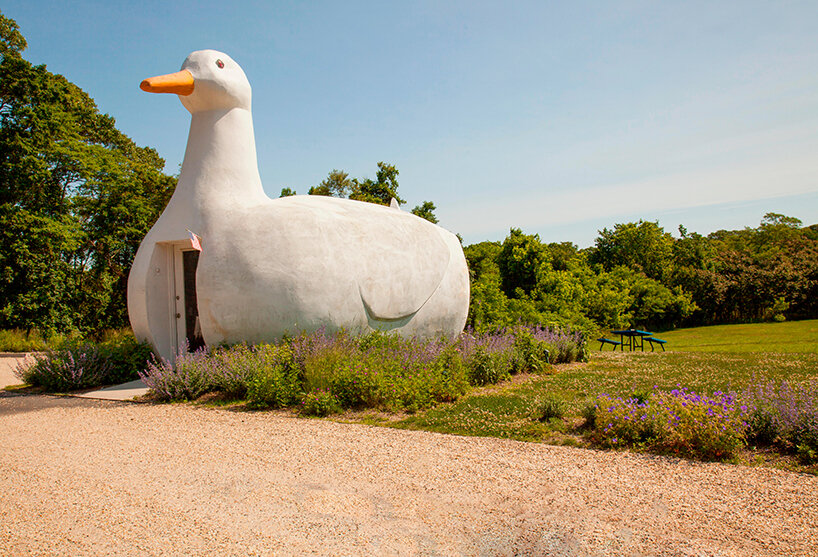 De los patos de la nave espacial: 