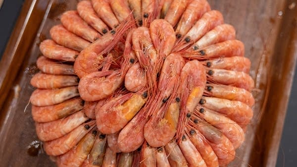 Camarones en círculo.